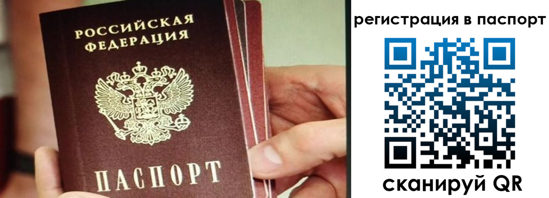 временная регистрация надежно в Рудне